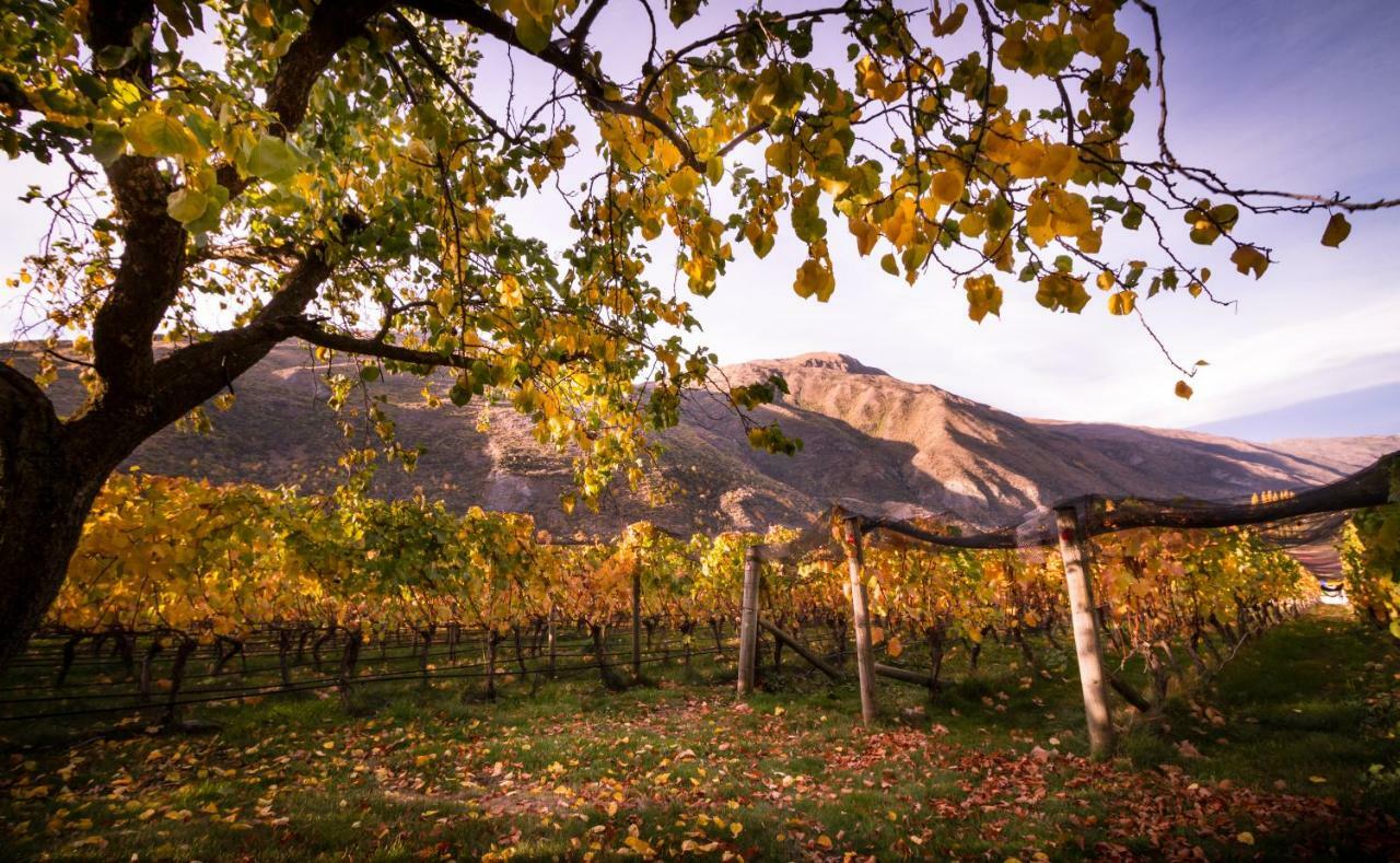 Gibbston Valley Lodge And Spa ควีนส์ทาวน์ ภายนอก รูปภาพ